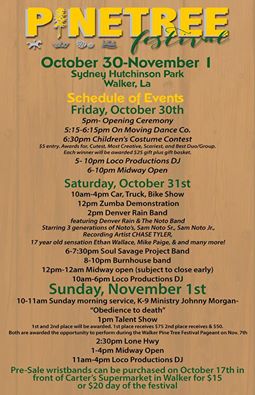 Pine Tree Festival